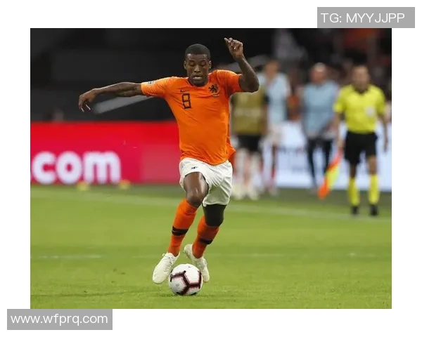 荷兰国脚维纳尔杜姆转会曼城,英格兰球迷狂欢 荷兰国脚维纳尔杜姆转会曼城,英格兰球迷狂欢